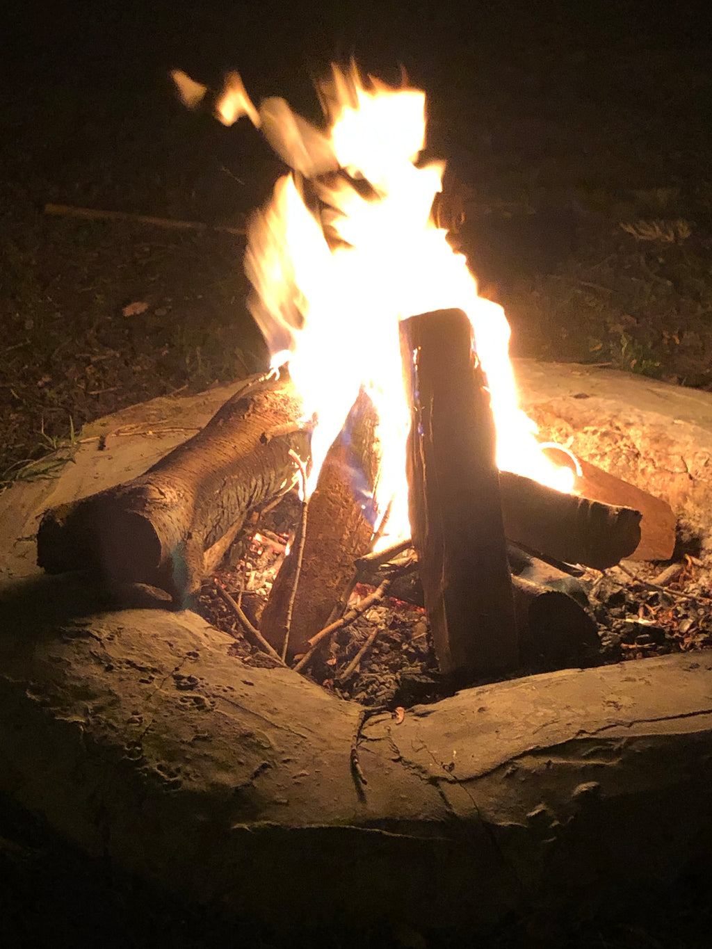 "FIREY FIG FUSION" GOURMET HOT SAUCE  Hickory Smoked Sweet Figs & Garlic